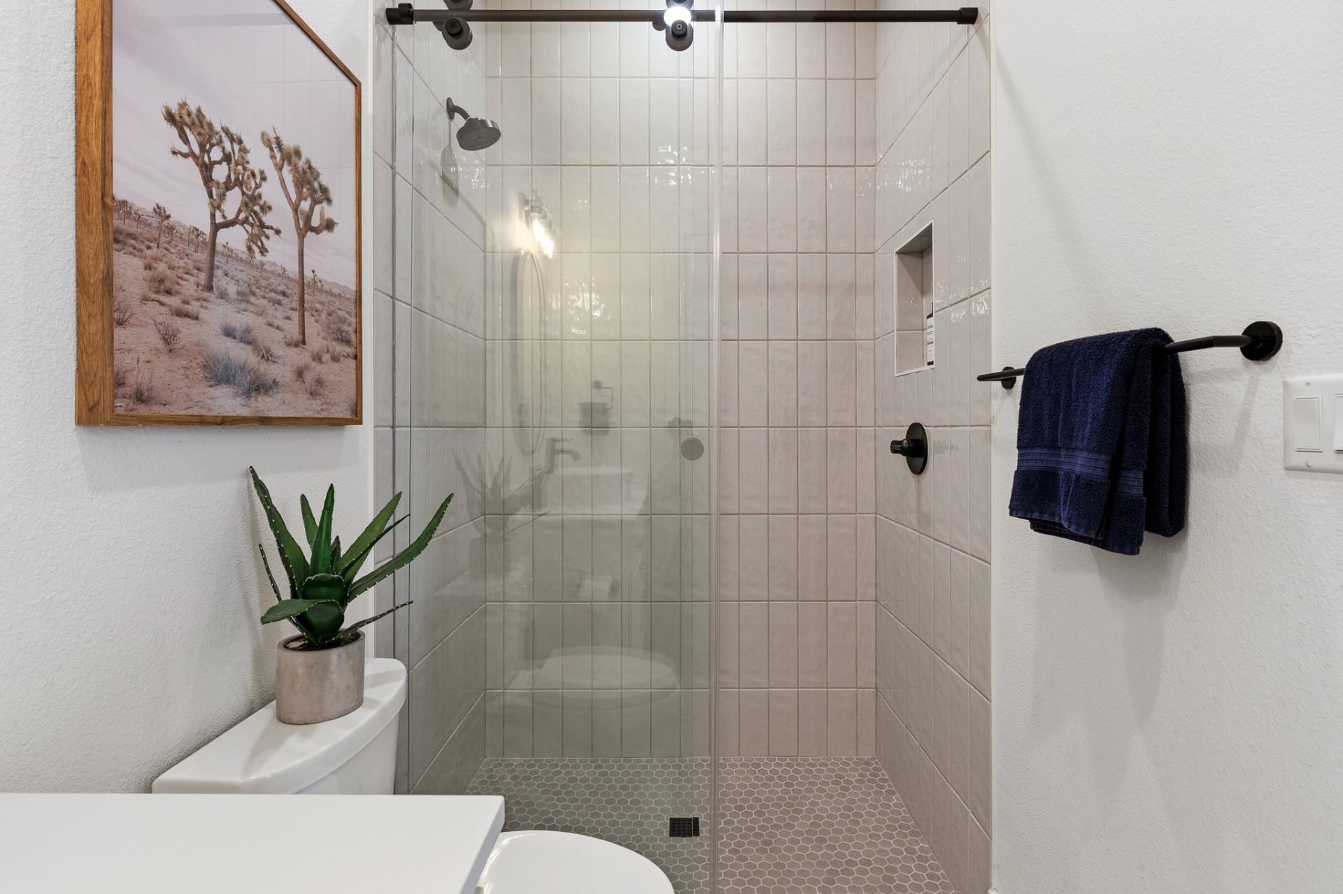 Guest bath walk-in shower — vertical white tile, hex floor, Joshua Tree art and black fixtures